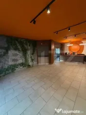 Blitz oferă spre vânzare casa/spațiu commercial in Tarnav
