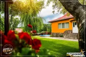 FILM! Doua case cu:piscina,foisor,arbori decorativi,1.700mp