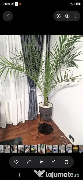 Iau in chirie doamna cu maxim 1 copil apartament 2 cam 5min. Crangasi