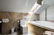 Casă modernă și spațioasă cu piscină,saună și sal... 