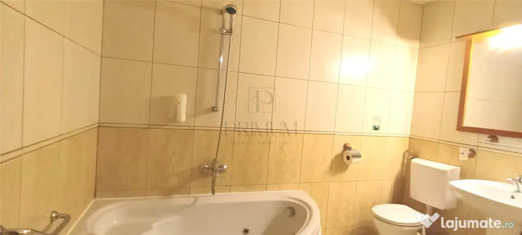 Apartament 1 camera mobilat - Blacescu - Complexul Studentes - Timisoara (Timis)