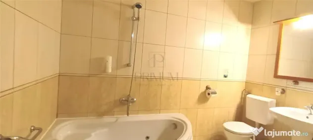 Apartament 1 camera mobilat - Blacescu - Complexul Studentes - Timisoara (Timis)