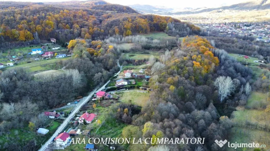 PADURE LANGA ORAS ACCES BUN IDEALA PENTRU ACTIVITATI DE AGRE - Ramnicu Valcea (Valcea)