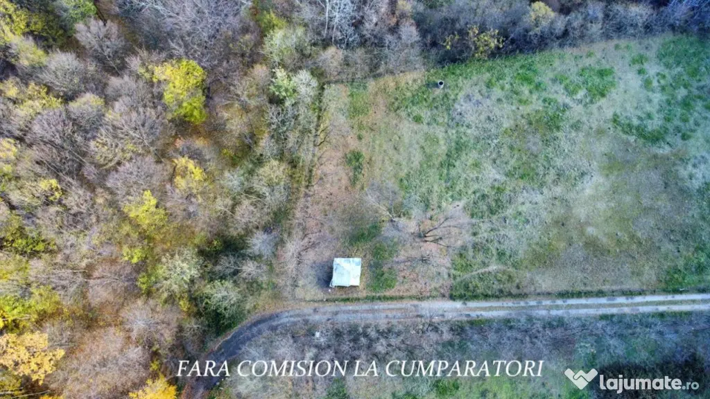 PADURE LANGA ORAS ACCES BUN IDEALA PENTRU ACTIVITATI DE AGRE - Ramnicu Valcea (Valcea)