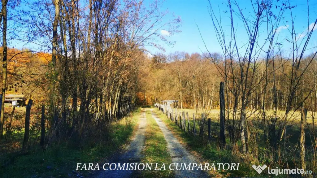 PADURE LANGA ORAS ACCES BUN IDEALA PENTRU ACTIVITATI DE AGRE - Ramnicu Valcea (Valcea)