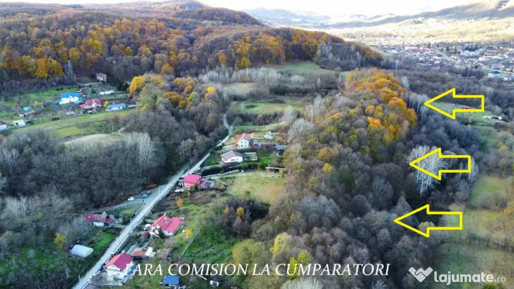 PADURE LANGA ORAS ACCES BUN IDEALA PENTRU ACTIVITATI DE AGRE - Ramnicu Valcea (Valcea)