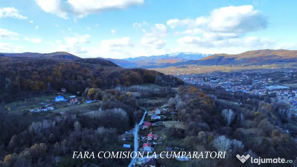 PADURE LANGA ORAS ACCES BUN IDEALA PENTRU ACTIVITATI DE AGRE - Ramnicu Valcea (Valcea)