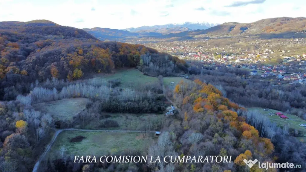 PADURE LANGA ORAS ACCES BUN IDEALA PENTRU ACTIVITATI DE AGRE - Ramnicu Valcea (Valcea)