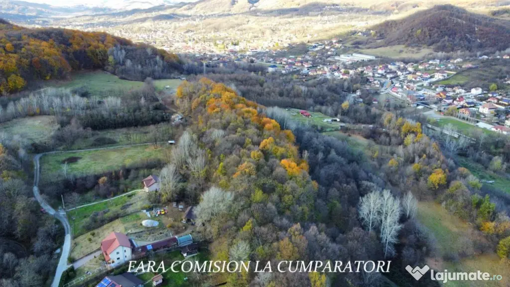 PADURE LANGA ORAS ACCES BUN IDEALA PENTRU ACTIVITATI DE AGRE - Ramnicu Valcea (Valcea)