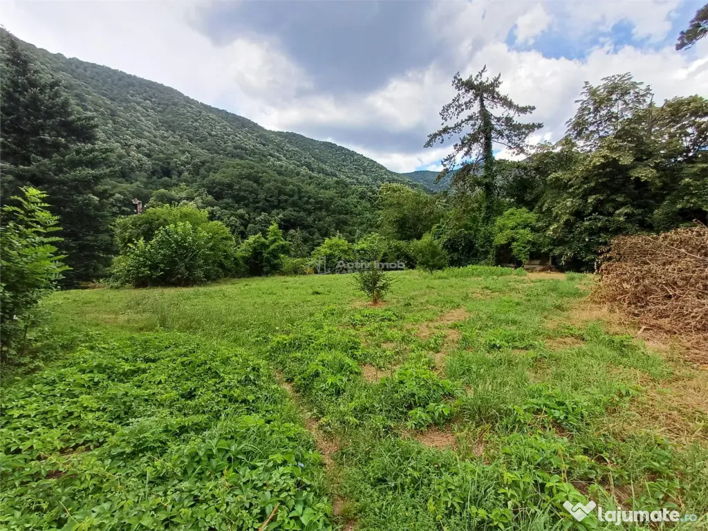 Baile Herculane, De Vila Miramonte, 3204 Mp. Teren Intravil - Baile Herculane (Caras-Severin)