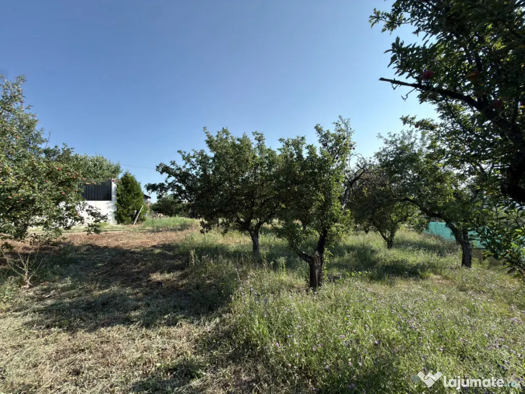Teren intravilan 10 ari, front 28 ml, Livada SCPP, Cerbului, - Zalau (Salaj)
