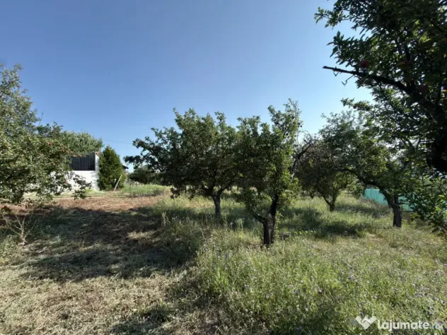 Teren intravilan 10 ari, front 28 ml, Livada SCPP, Cerbului, - Zalau (Salaj)
