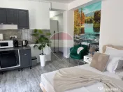 13 Septembrie | Prosper Center | Garsoniera Premium | Pri... 