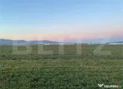 Teren agricol de vanzare-5.000mp 