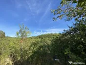 CASA + TEREN 1.002 MP | Stefanesti – Valea Mare Encules...