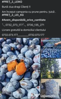 Vand prune pentru țuică