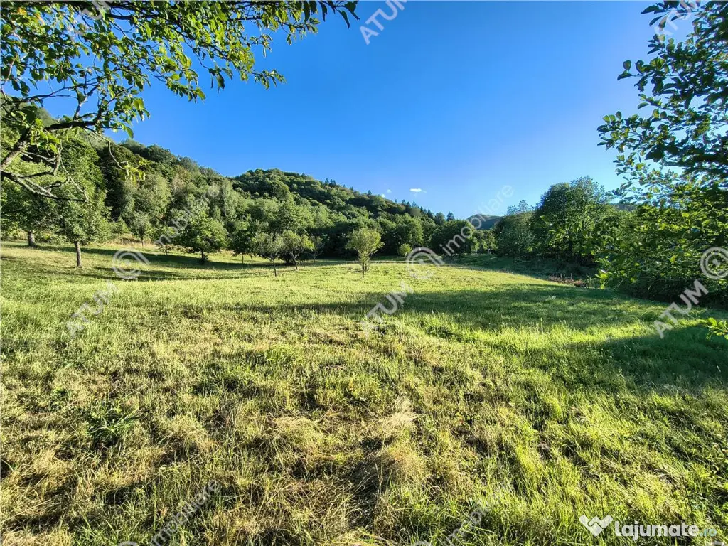 Teren extravilan 1200 mp in Sibiel langa Sibiu - ideal inves - Sibiel (Sibiu)