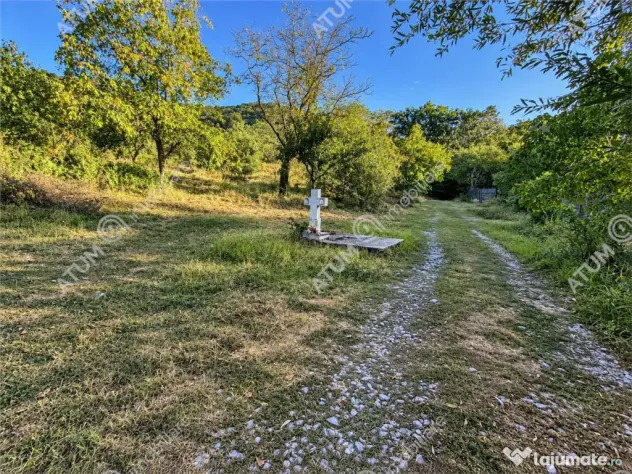 Teren extravilan 1200 mp in Sibiel langa Sibiu - ideal inves - Sibiel (Sibiu)