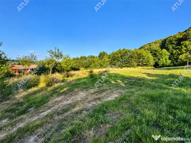 Teren extravilan 1200 mp in Sibiel langa Sibiu - ideal inves - Sibiel (Sibiu)