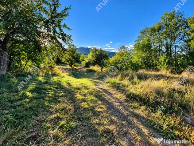 Teren extravilan 1200 mp in Sibiel langa Sibiu - ideal inves - Sibiel (Sibiu)