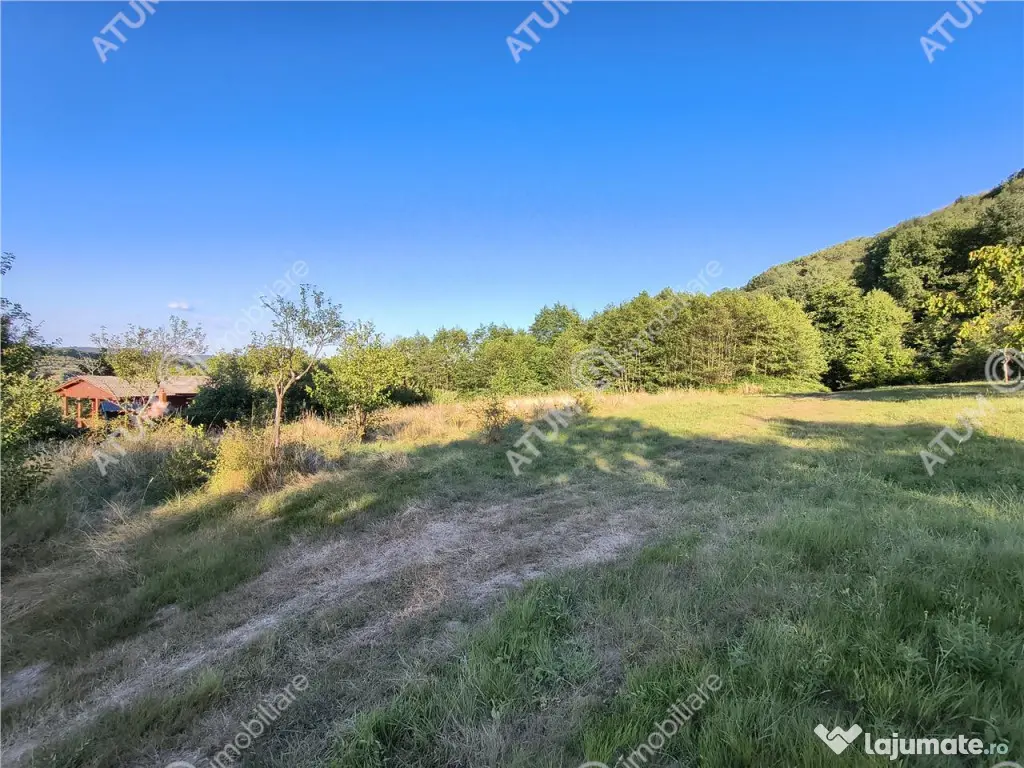 Teren extravilan 1200 mp in Sibiel langa Sibiu - ideal inves - Sibiel (Sibiu)