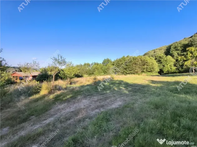 Teren extravilan 1200 mp in Sibiel langa Sibiu - ideal inves - Sibiel (Sibiu)