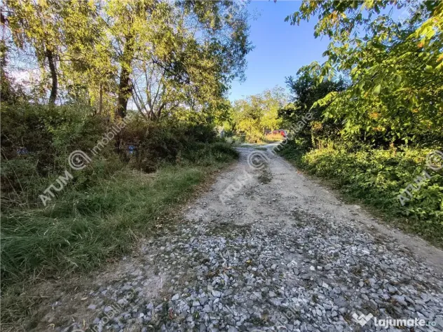 Teren extravilan 1200 mp in Sibiel langa Sibiu - ideal inves - Sibiel (Sibiu)