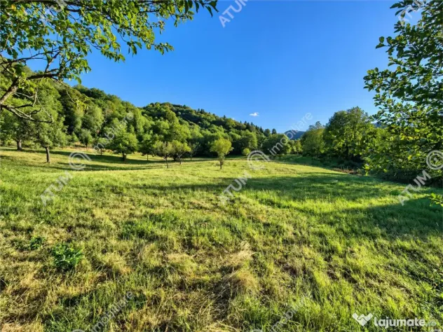 Teren extravilan 1200 mp in Sibiel langa Sibiu - ideal inves - Sibiel (Sibiu)