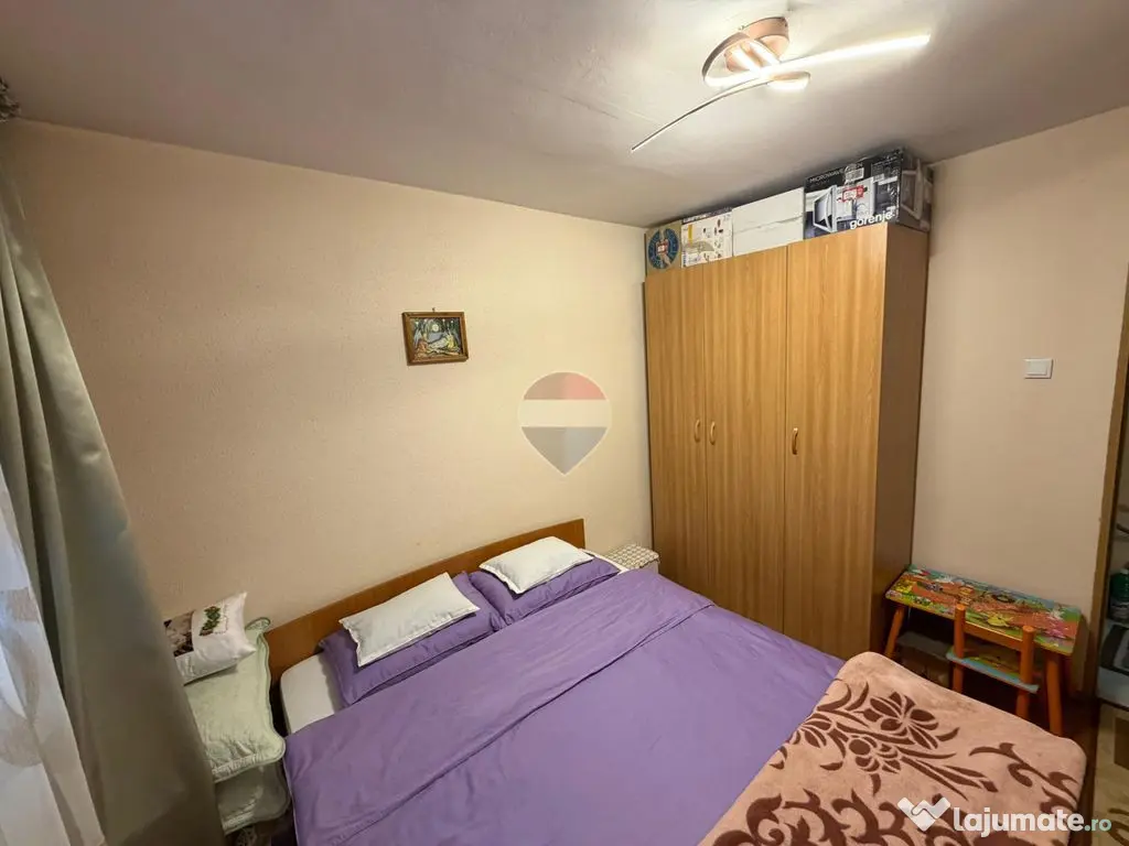 DE VANZARE sau INVESTITIE - Baia Mare (Maramures)