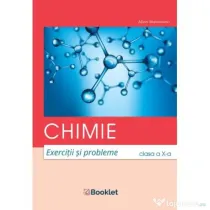 Chimie. Exercitii si probleme pentru clasa a 10-a - Alina Maiereanu