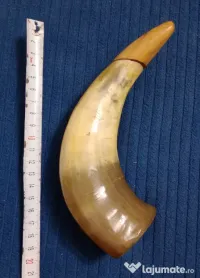 Corn plin 20 cm. cu dop din lemn