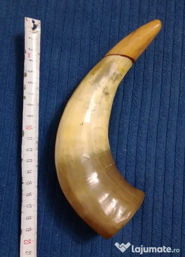 Corn plin 20 cm. cu dop din lemn