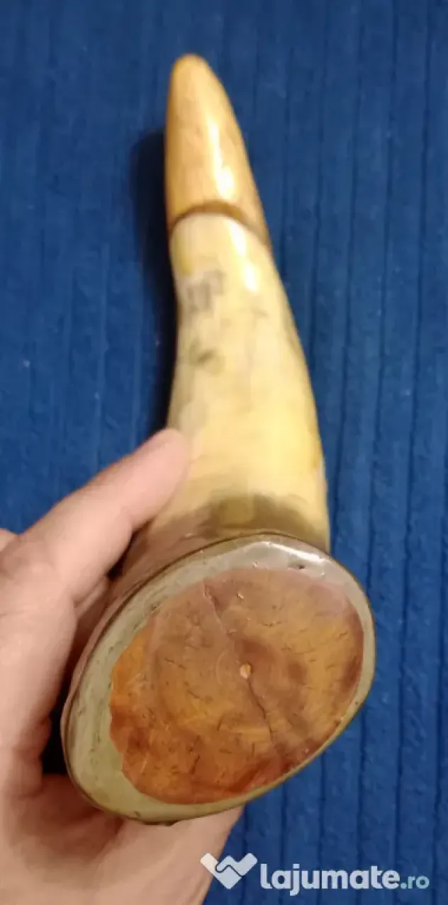 Corn plin 20 cm. cu dop din lemn