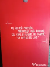 icoana Maica Domnului 30cm/21cm pictata manual pe lemn