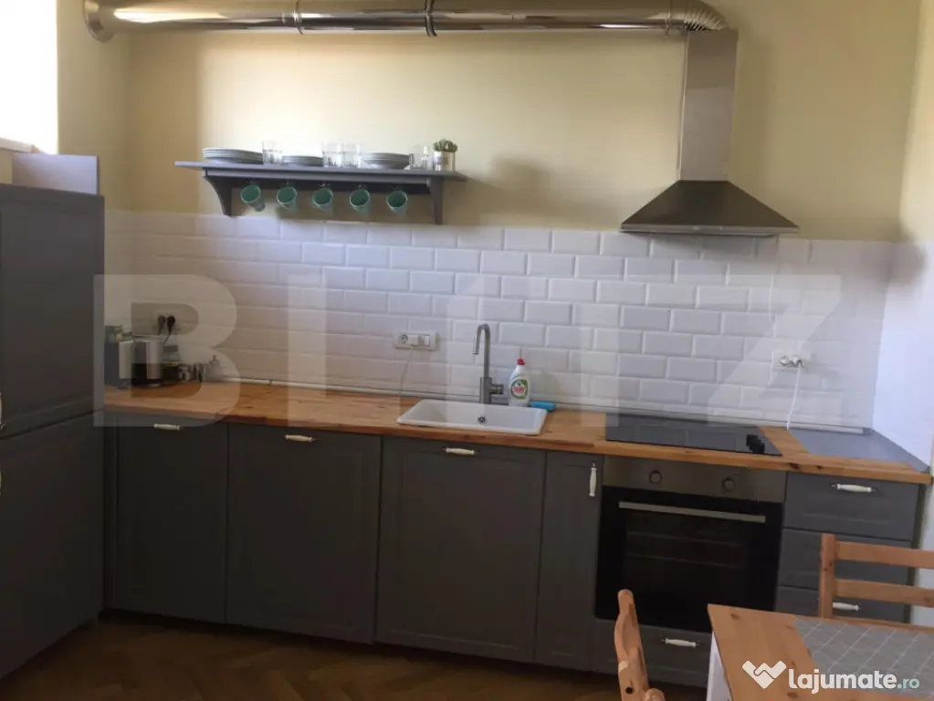 Apartament spațios cu 1 cameră, 55 mp, Ultracentral - Timisoara (Timis)