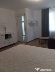 Dimitrie leonida studio cu gradina si terasa parter 