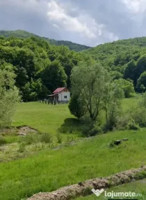 Comision 0% | Teren intravilan Valea Maierusului| PUZ Turistic aprobat 421mp