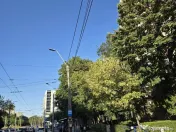 Piata sudului confort 2 cocheta 