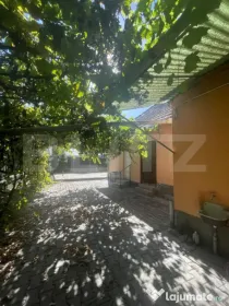 Casa de inchiriat, 50 mp, 250 mp teren, zona Centrala