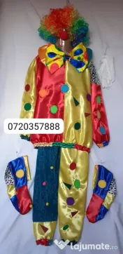 Costum Clovn pentru copii 9-10-11-12-13 ani, 225 lei