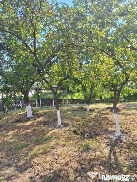 Casa de vanzare cu teren generos de 1.686 mp, Comuna Calaras - Craiova (Dolj)