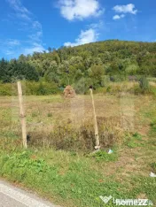 Vand teren la Nadrag cu Cabana
