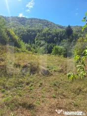 Vand teren la Nadrag cu Cabana