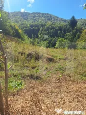 Vand teren la Nadrag cu Cabana
