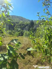Vand teren la Nadrag cu Cabana