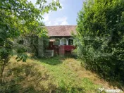Teren cu casa veche de Vanzare in Lujerdiu, com. Cornesti 