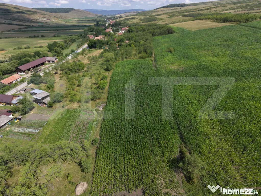 Teren cu casa veche de Vanzare in Lujerdiu, com. Cornesti - Cluj-Napoca (Cluj)