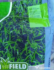 Samanta Gazon Premium