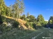 Teren intravilan de in padure Cisnadioara 