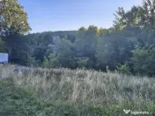 Teren intravilan de in padure Cisnadioara 